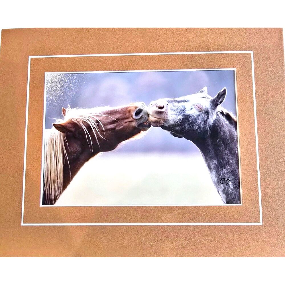 Clay Thurston Signed Photo Print 8x6" Two Horses‎ Noses Touching 10x8"